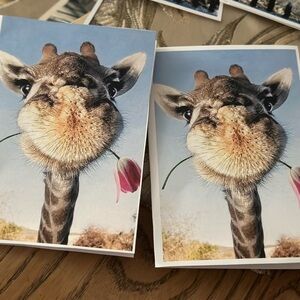 Giraffe Greeting Cards with Pink Tulip